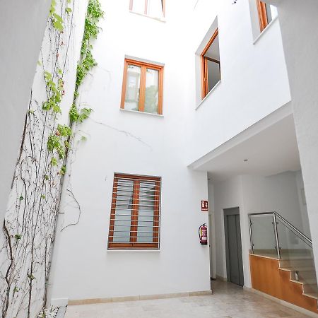 Апартаменты Renthas Vid Loft Малага Экстерьер фото